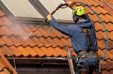 Démoussage et hydrofuge de toiture à Rochetaillée